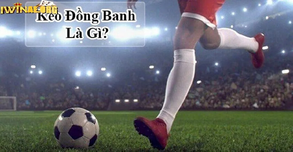 Khái quát qua về thể loại kèo đồng banh Iwin